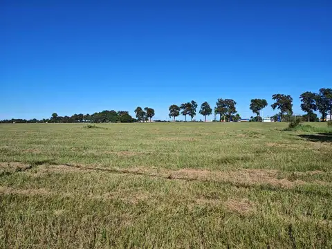 GRAN TERRENO EN VENTA EN CAYASTA.