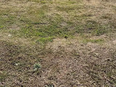 Terreno Lote  en Venta ubicado en Santa Elena, Pilar del Este, Pilar