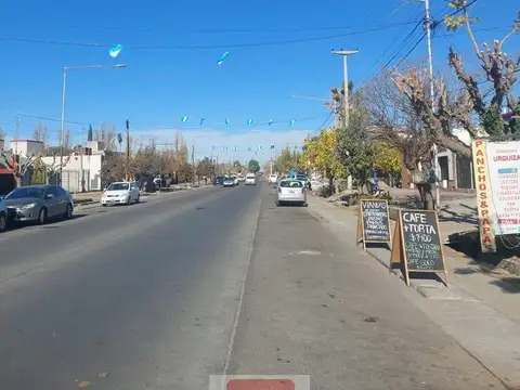 Carril Urquiza. Coquimbito. Maipu