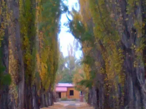 INMOBILIARIA COMODORO - Estancia Productiva próxima a Gobernador Gregores