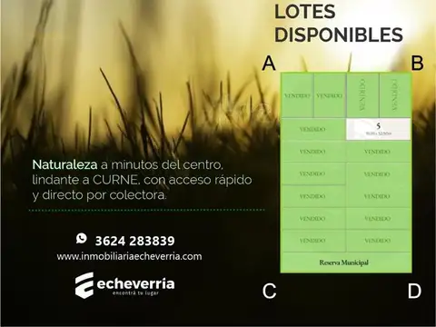 TERRENOS/FRACCIONES/LOTEOS - LOTEOS - OTRAS ZONAS, RESISTENCIA