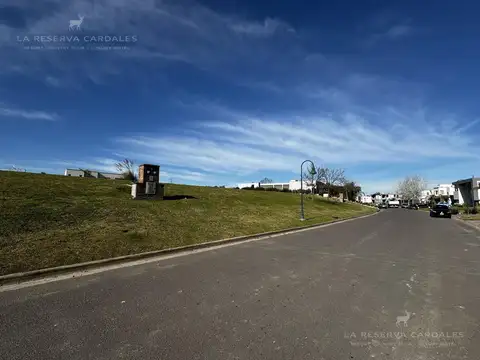 460
