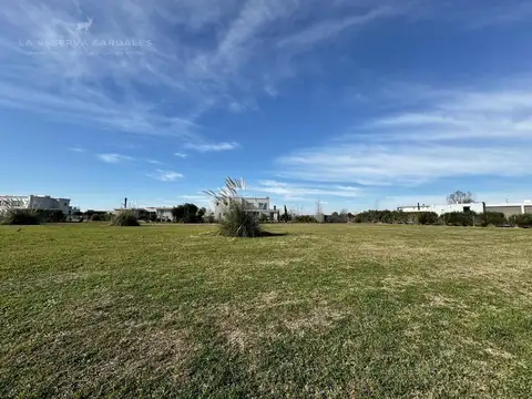 Terreno en Venta 45  mts Fondo