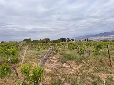 Terreno en Venta de 8129,0 m2