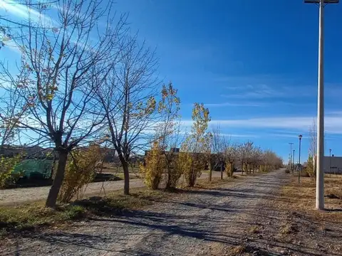 Terreno en Venta de 1000,0 m2