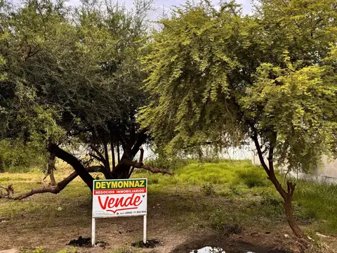Terreno en Venta 20  mts Fondo