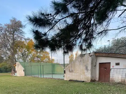 Glicina(barrio Jularo)