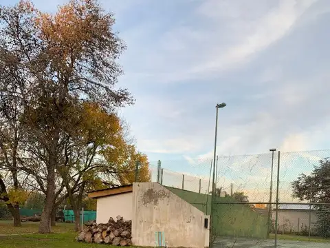 Glicina(barrio Jularo)