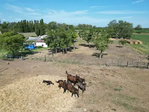 CAMPO EN SAN ANDRES DE GILES RUTA 8 KM 90