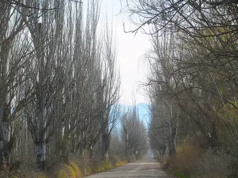 Calderón