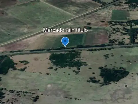 Ruta Provincial 29 8000
