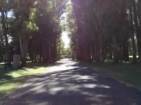 Haras san Pablo