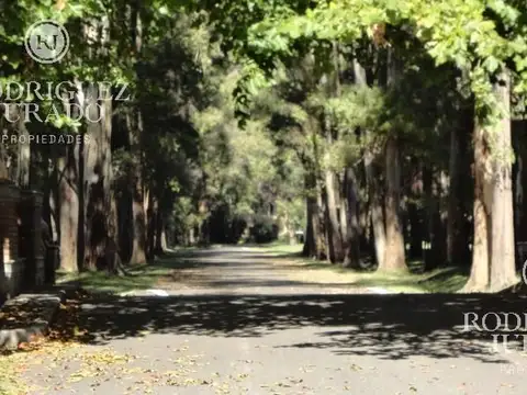 Haras san Pablo