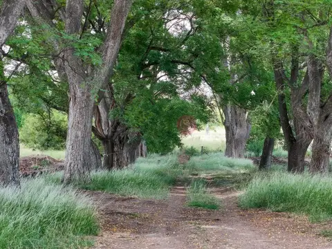 Estancia Carabassa Pilar
