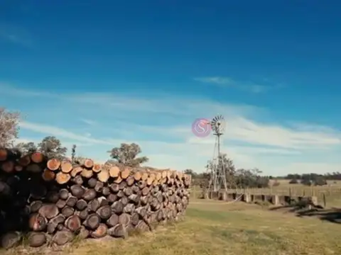 Terreno en Venta de 810,0 m2