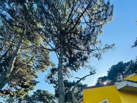 Avenida 2 y Las Orquídeas