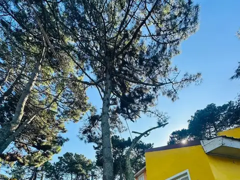 Avenida 2 y Las Orquídeas