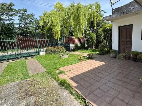 Olivieri 300