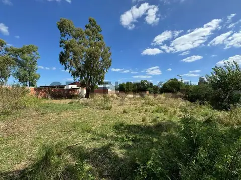 Lote - Terreno en venta Lisandro Olmos La Plata