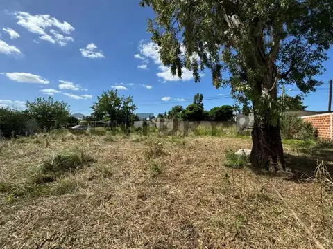 Terreno en Venta en Lisandro Olmos Etcheverry, USD 17.500