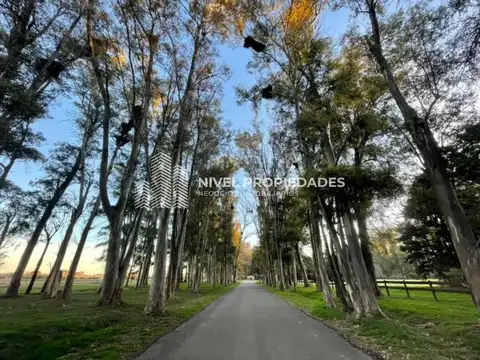 Ruta 6, KM 150 , Piso No definido