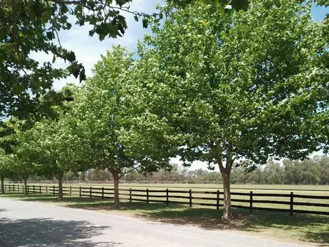 Terreno en Venta en Technopolo Club De Campo, USD 84.500