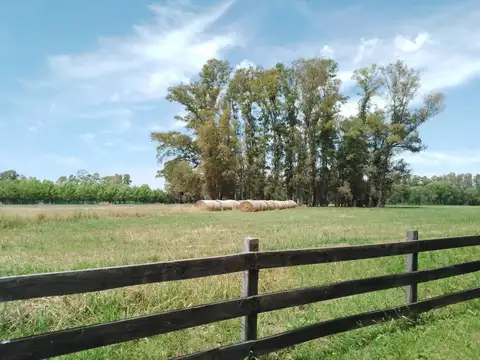 Technopolo