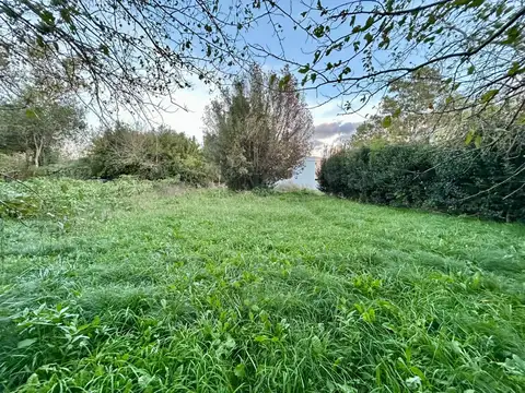Terreno en Venta 10  mts Frente