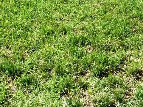 Terreno en Venta, FOT 1,2