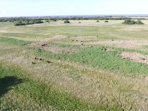 Magdalena 600 has - Campo en Venta