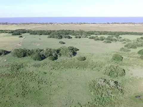 Magdalena 600 has - Campo en Venta