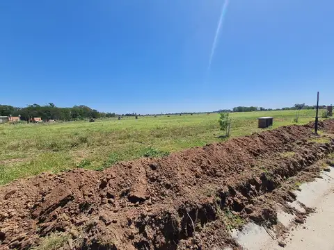 Terreno en  Venta- Bella Vista - Village Plaza