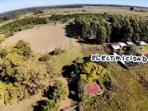 Campo en Venta de 1  ha