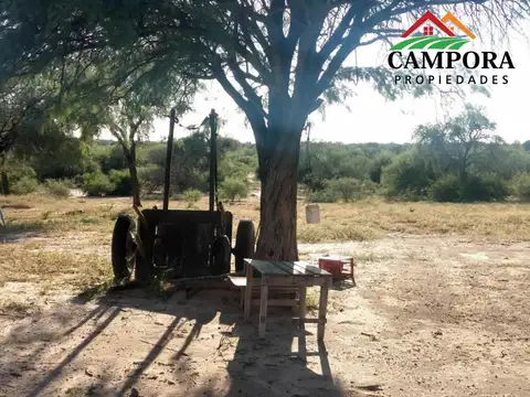 CAMPO GANADERO A LA VENTA EN CHAMICAL PROVINCIA DE LA RIOJA