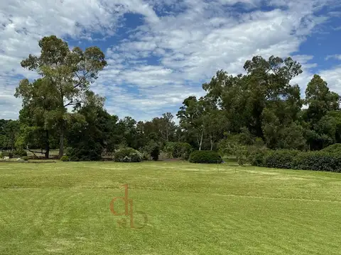 Terreno en Venta 31  mts Fondo