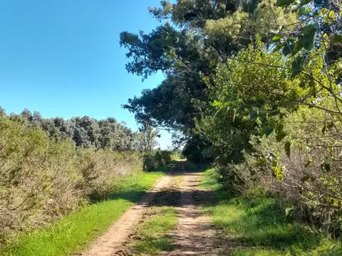 VENTA CAMPO 14 Ha. agropecuarias, APTO GRANJA, Emprendimiento o Cultivo