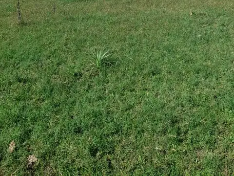 Ruta Provincial 39, alt. calle 100