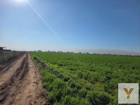 De Los Correa, Lavalle, Mendoza