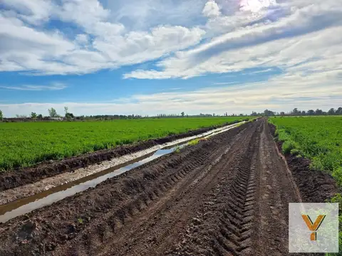 De Los Correa, Lavalle, Mendoza