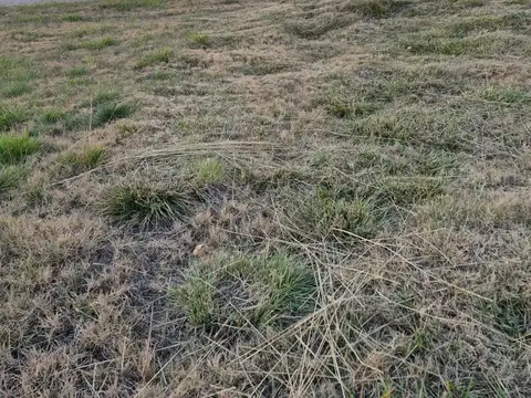 Terreno en Venta 29  mts Fondo