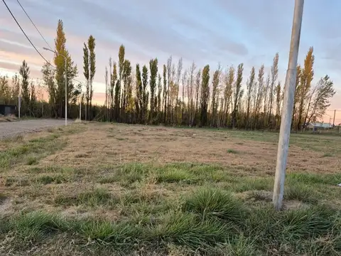 TERRENO EN VENTA EN LOTEO LOS JUANES ALLEN RIO NEGRO