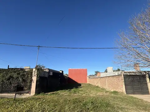 Saavedra