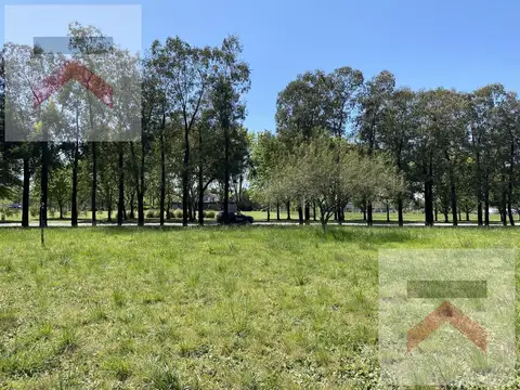 Lote 10.000m2 (1 hectárea) con Escritura FINANCIACION Estancia La Macarena Capilla del Señor