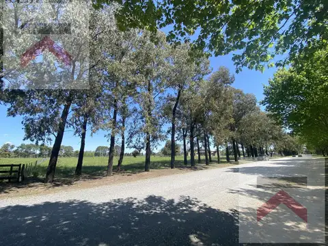 Estancia La Macarena