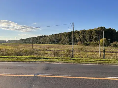 Terreno en Venta 62  mts Frente