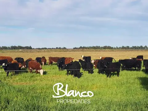 Terreno Campo  en Venta en San Luis Capital, San Luis, Argentina