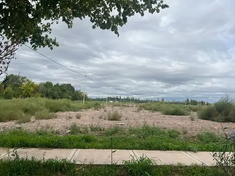 Terreno en Venta de 301,0 m2