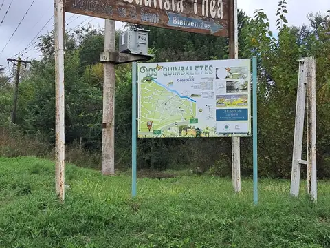 Madreselva