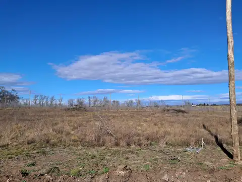 Los Reartes 100