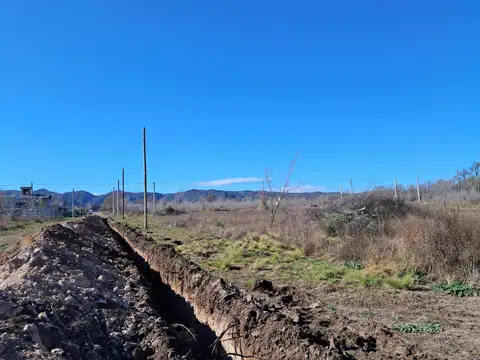 8 terrenos de 1.000m2 c/u